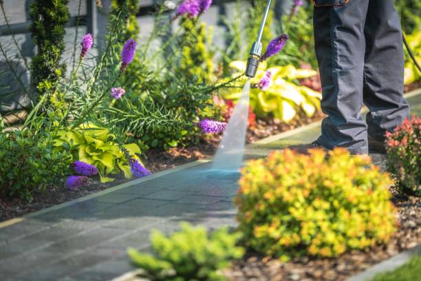Best Driveway Pressure Washing  in Little Elm, TX