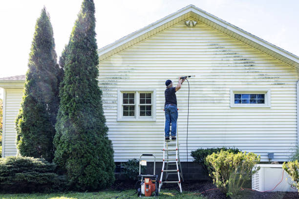 Best House Exterior Washing  in Little Elm, TX